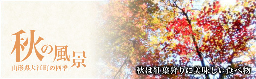 山形県大江町の四季「秋の景色」